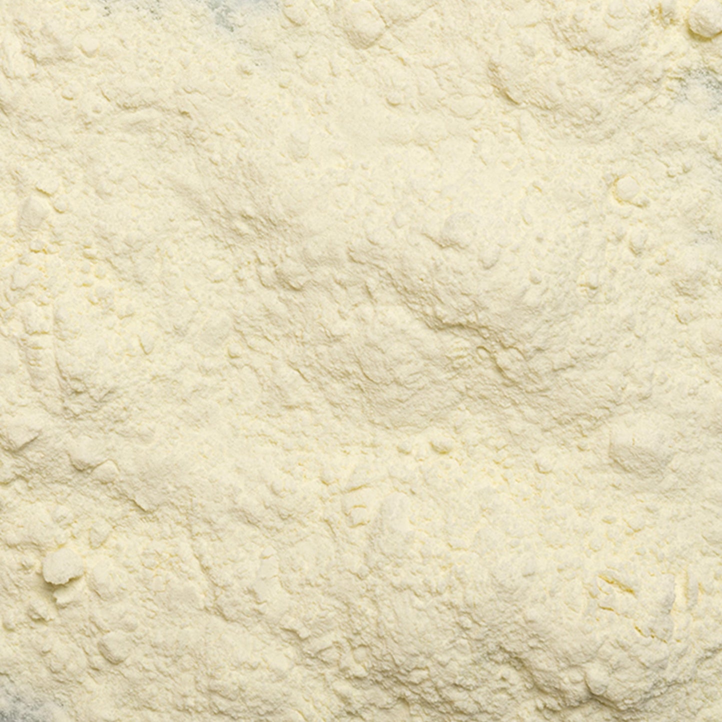 loose product photo of Buttermilk Powder showing color and texture 