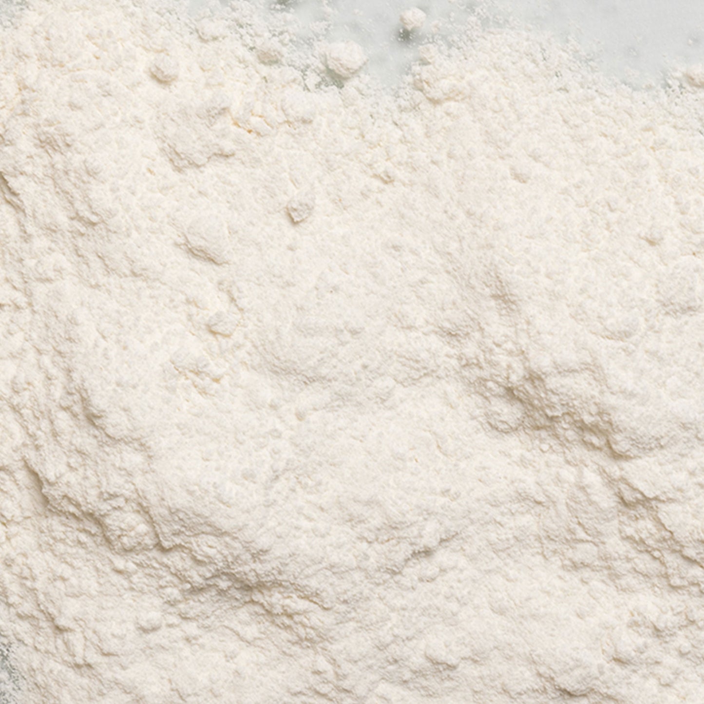 White Corn Flour