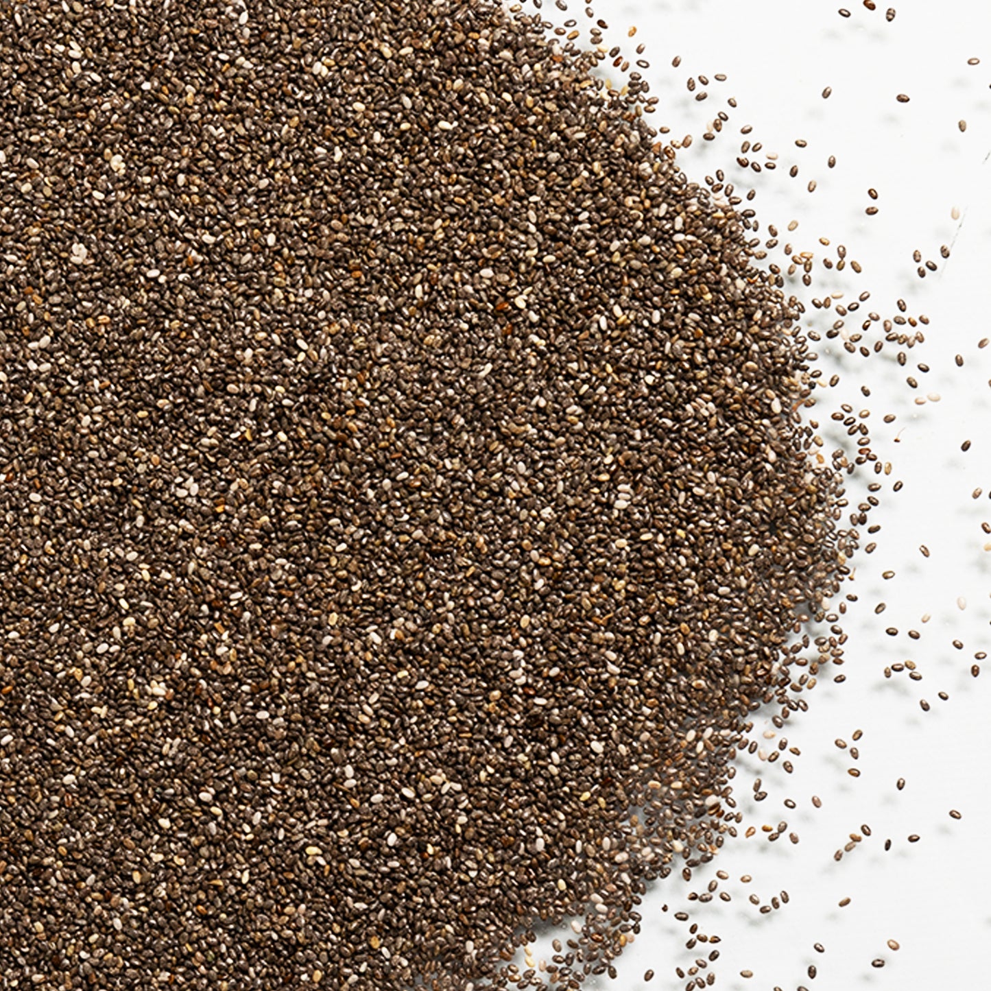 magnified loose product photo of Organic Chia Seeds showing texture 