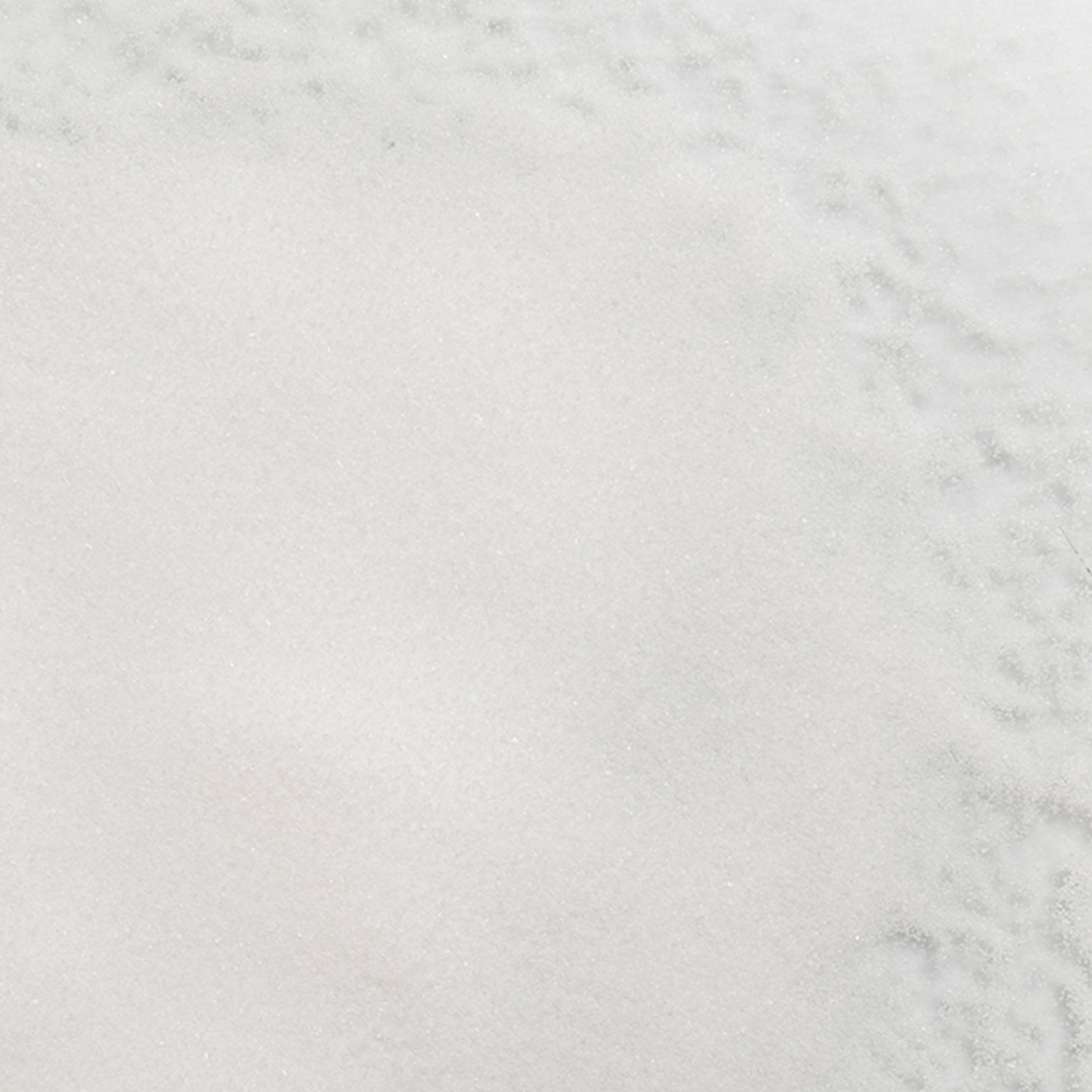 loose product photo of Citric Acid Powder 