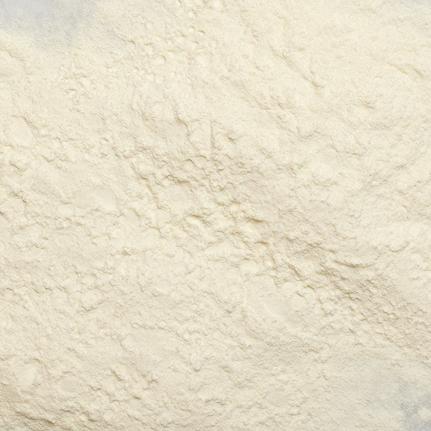 Non-Fat Dry Milk Powder