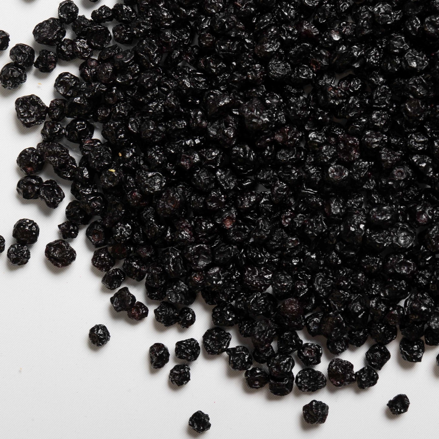 loose product photo of dried cultivated blueberries showing texture and shape 