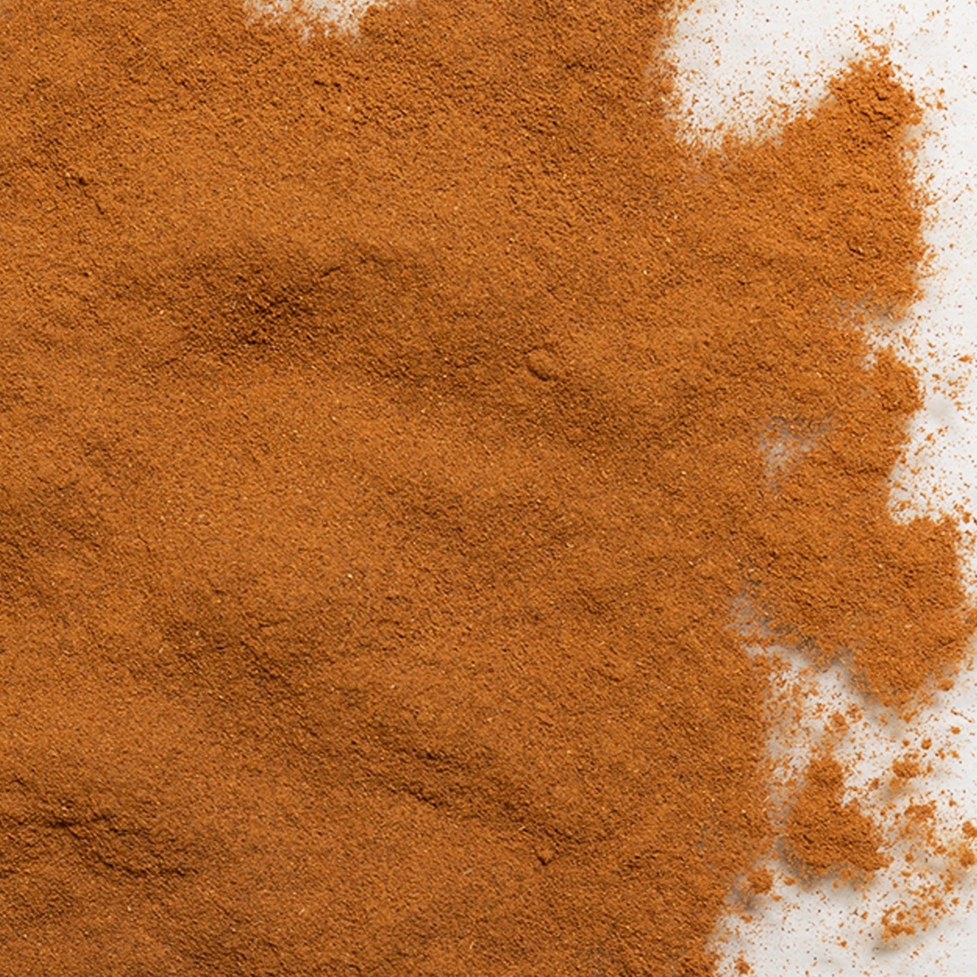 loose product photo of ground cinnamon showing texture 