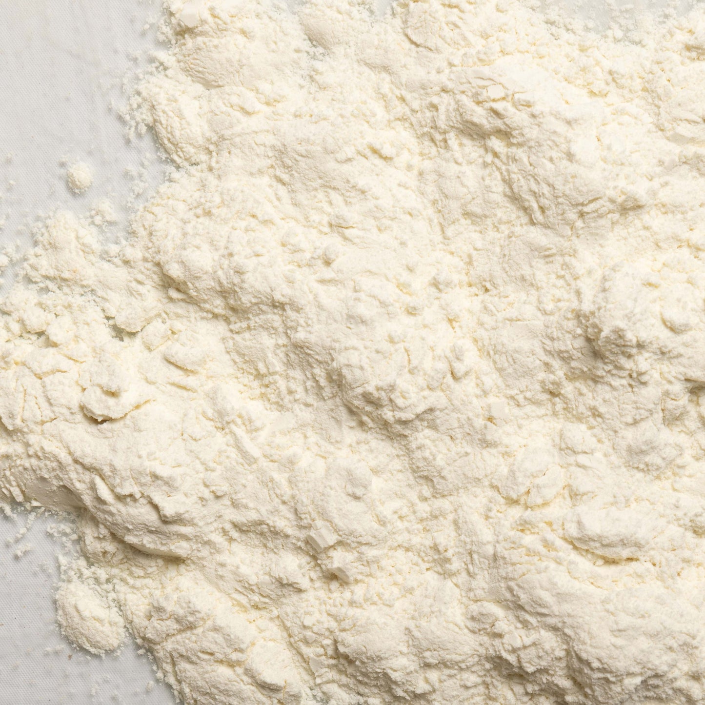 loose product photo of milk protein concentrate, 85% protein