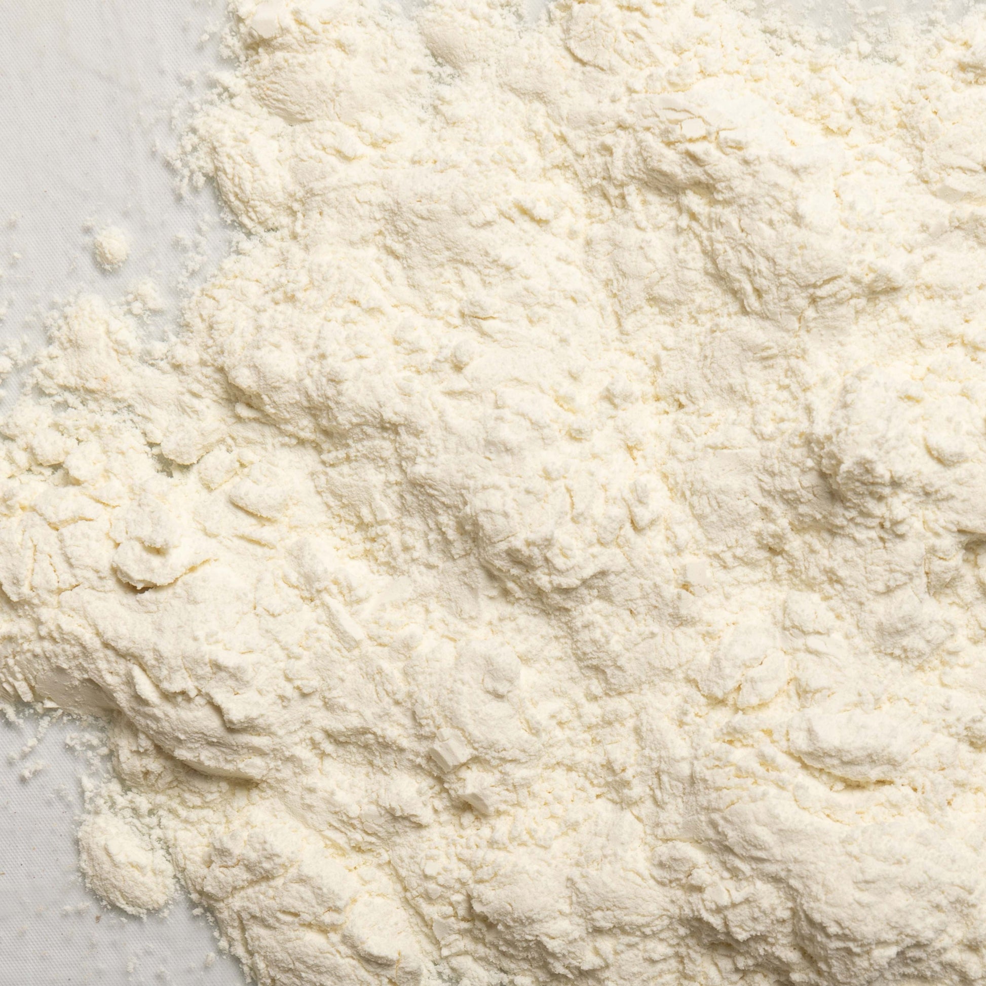 loose product photo of milk protein concentrate, 85% protein