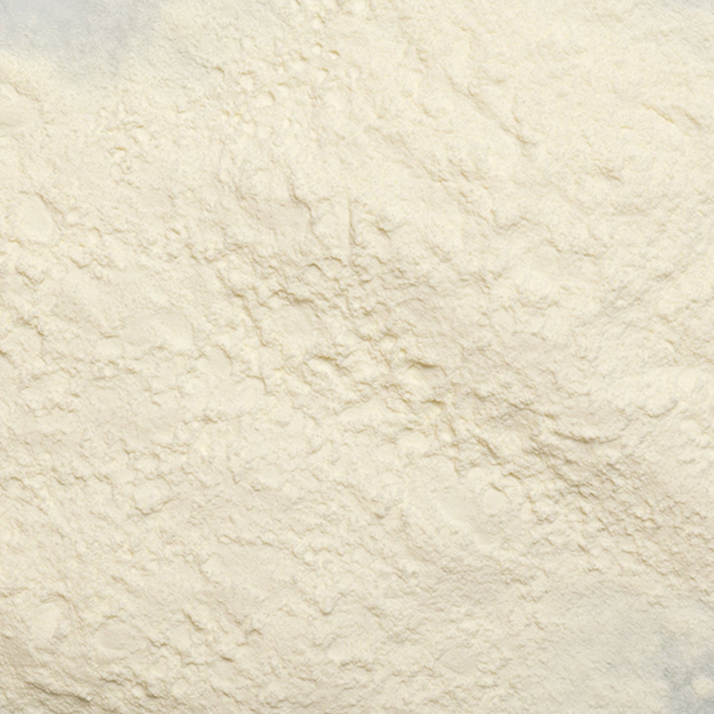 loose product photo of Non-Fat Dry Milk Powder showing texture 