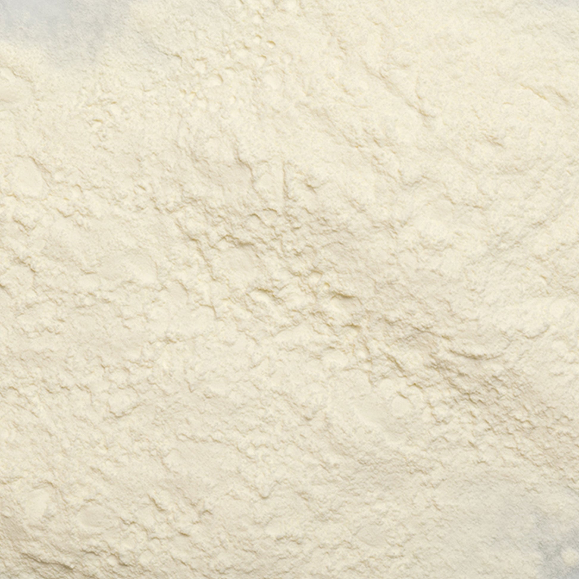 loose product photo of Non-Fat Dry Milk Powder showing texture 