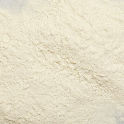 loose product photo of Non-Fat Dry Milk Powder showing texture 