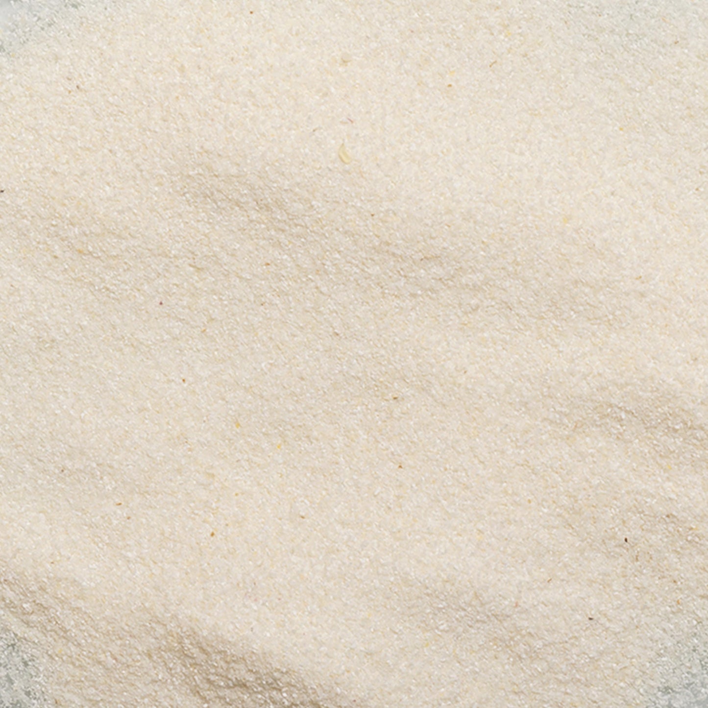 loose product photo of Polar white corn meal showing fine texture 