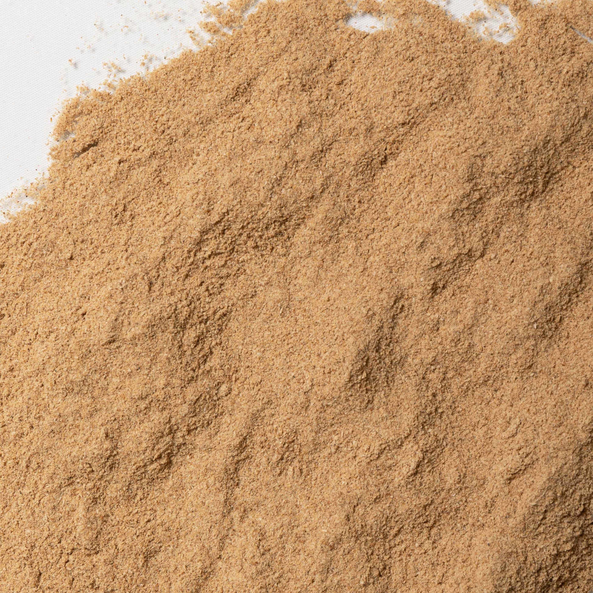 loose product photo of Psyllium Husk Powder showing texture and color 