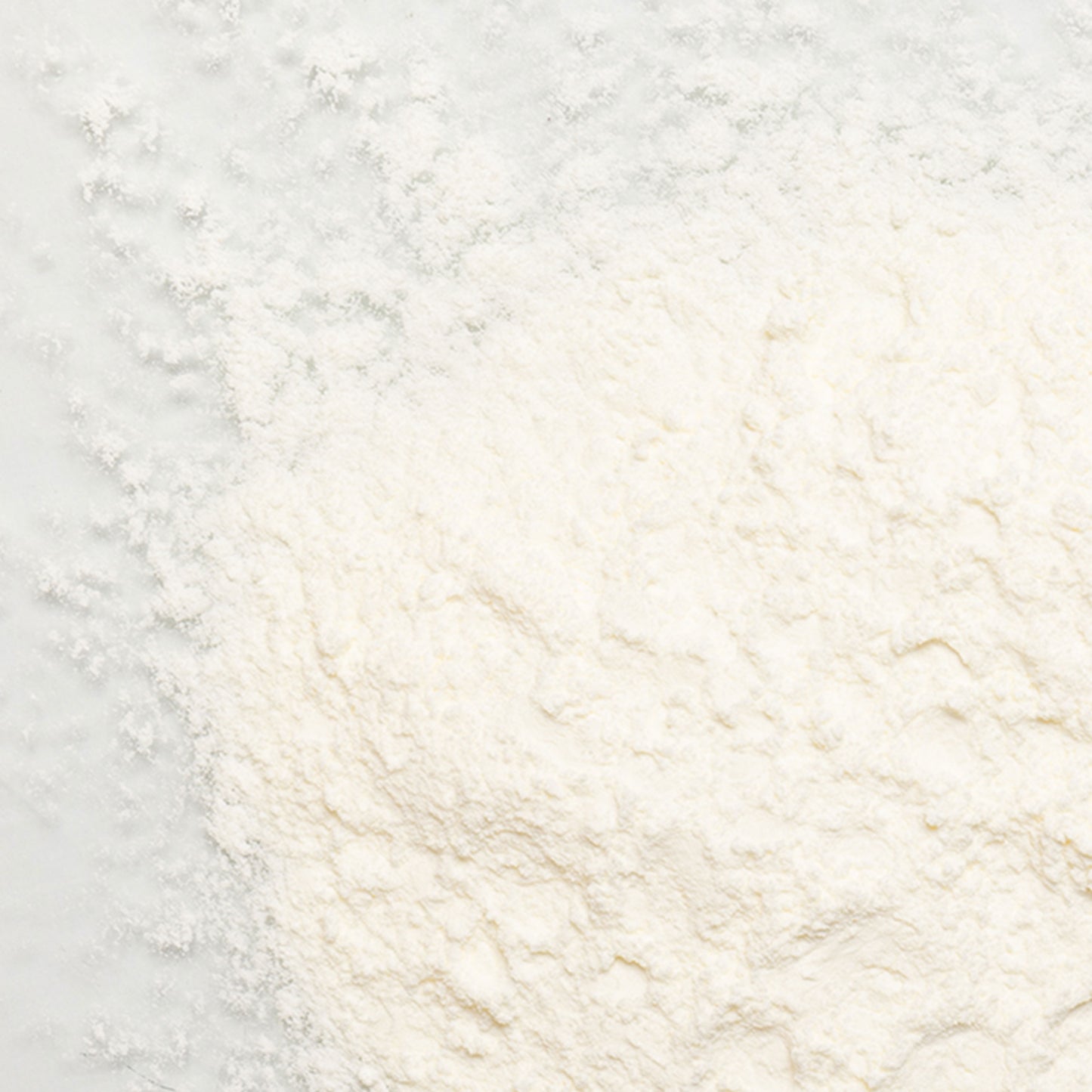 loose photo of sour cream powder 