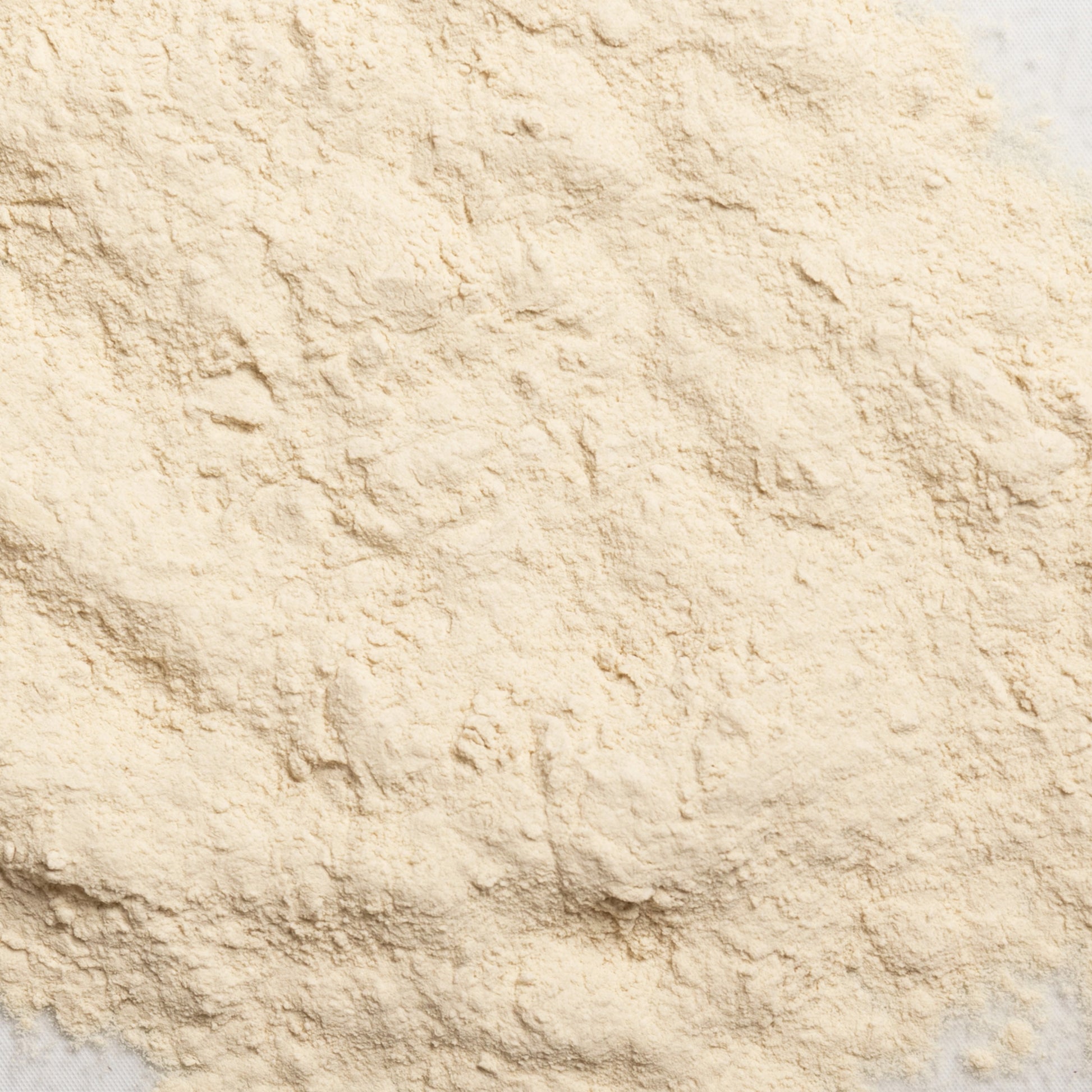 loose product photo of Wheat Protein Isolate 