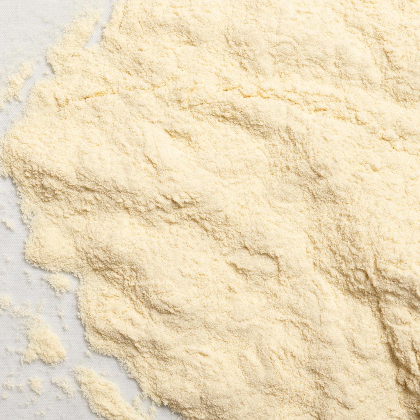 loose product photo of whey protein concentrate 