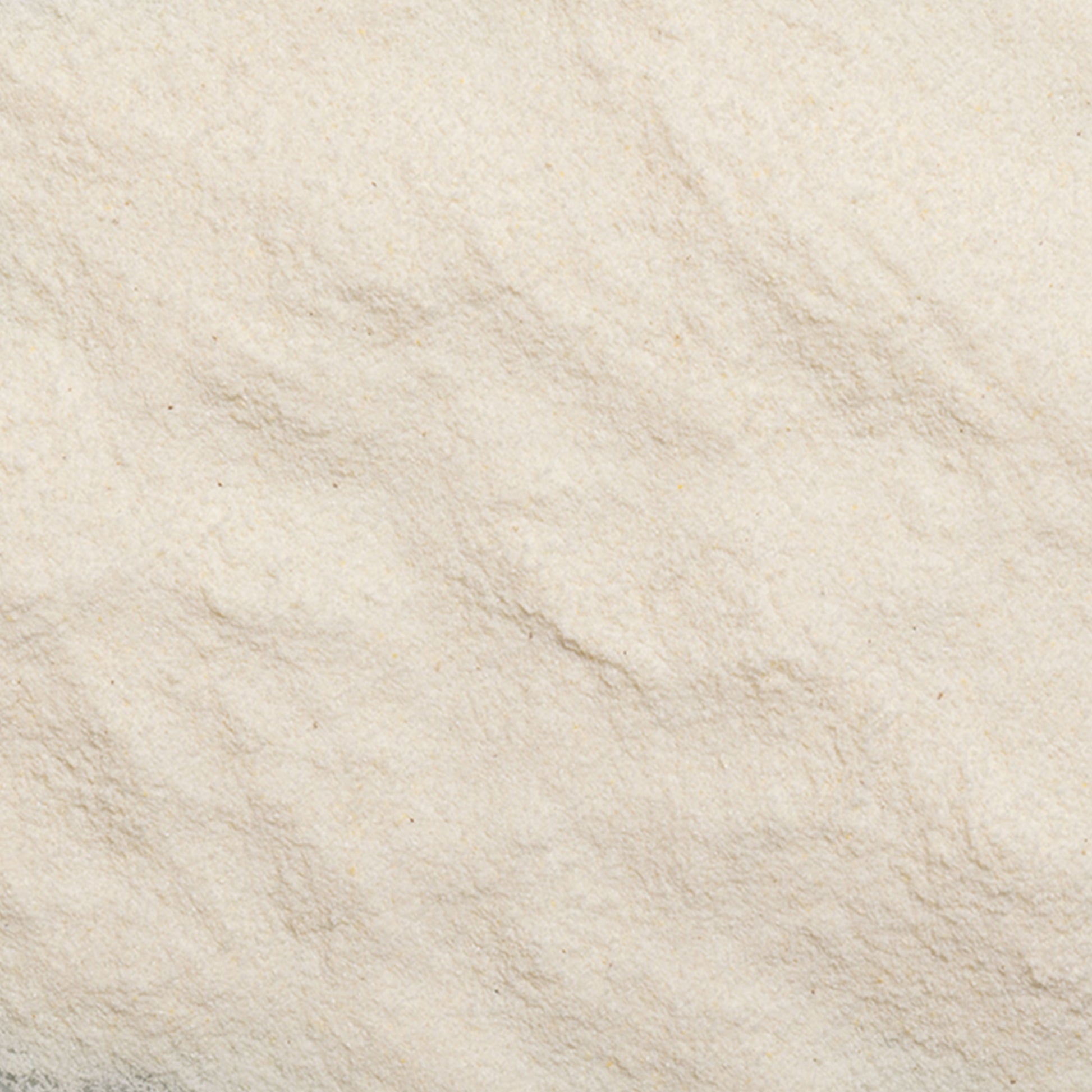 loose product photo of White arepa (precooked white) 