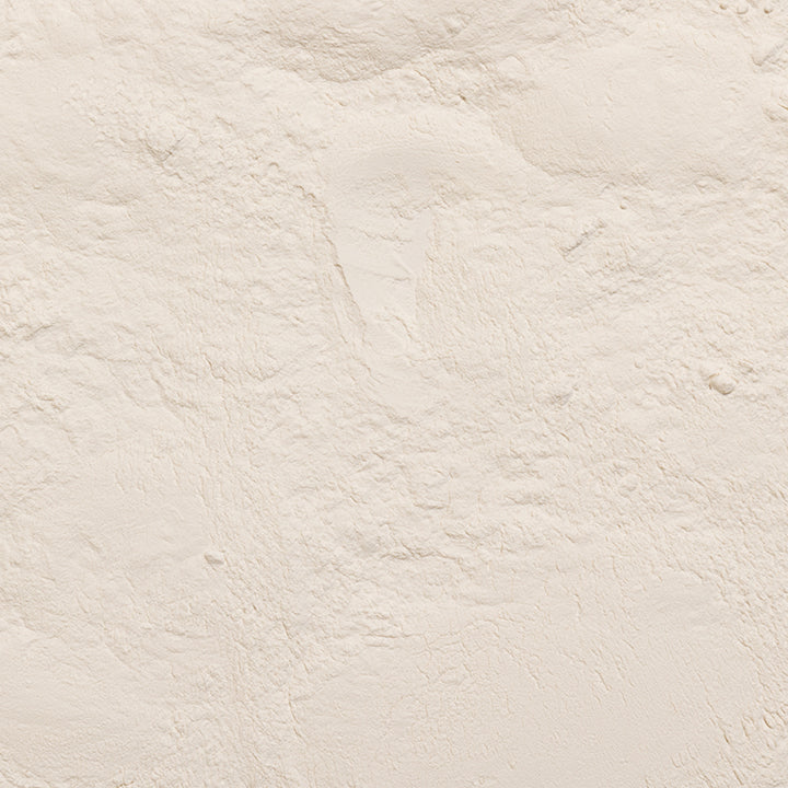 loose product photo of Xanthan Gum 200 mesh powder 