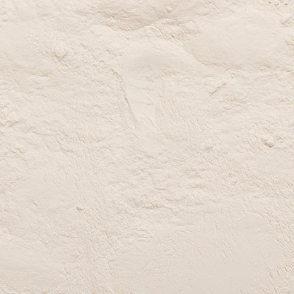 loose product photo of Xanthan Gum 200 mesh powder 