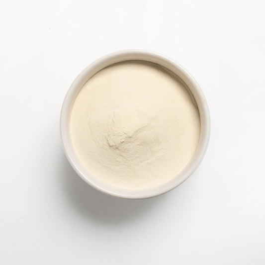 A bowl filled with 80 mesh Xanthan Gum 
