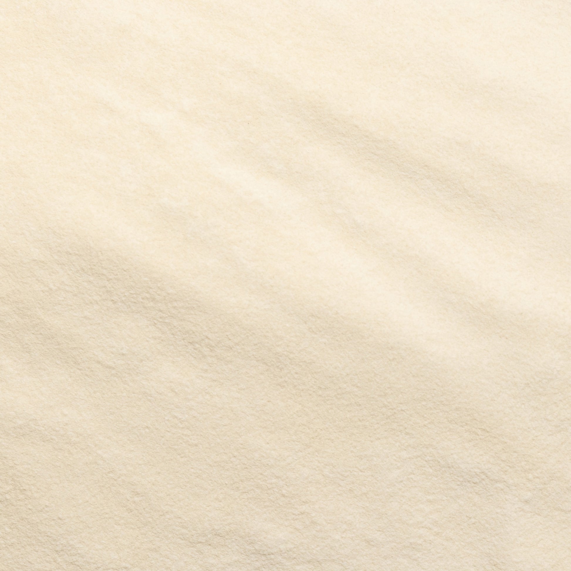 loose product photo of 80 mesh Xanthan Gum 